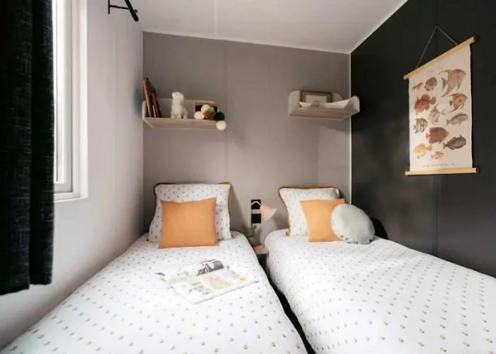 Zecamping Animaux Acceptes Club Enfant Espace Aquatique Saint-Jean-de-Monts